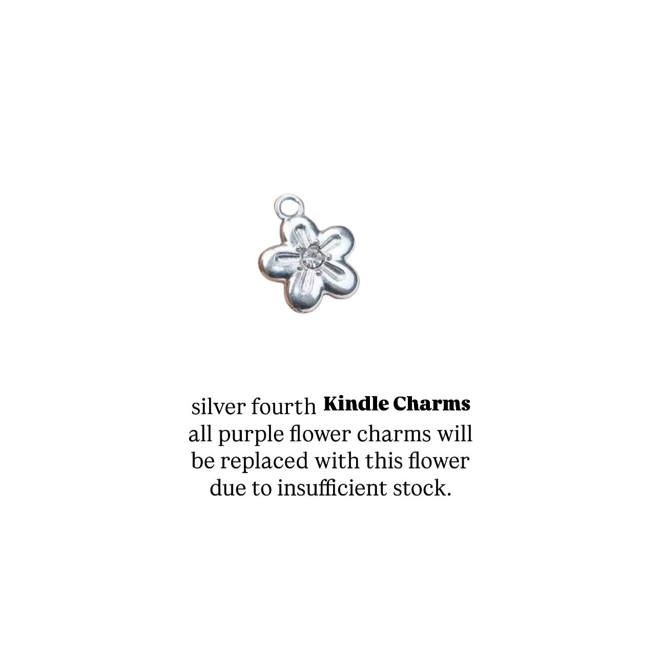 Dragon Rider inspired Kindle Charm and Accessory in Silver